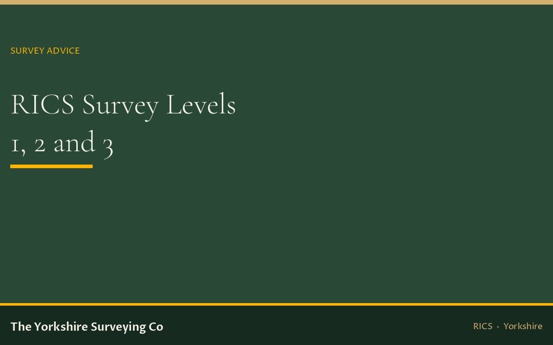 RICS Home Survey Levels 1, 2 and 3: which do you need?